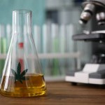 Cannabinoid Hyperemesis Syndrome: What You Need To Know