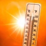 How To Stay Hydrated in the Summer Heat: 6 Tips That Don’t Involve Water