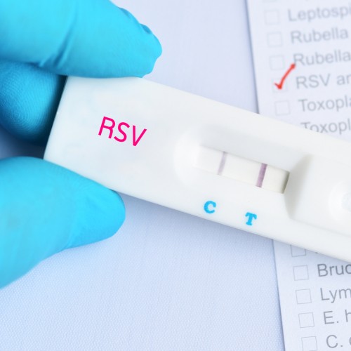 Rapid RSV Test