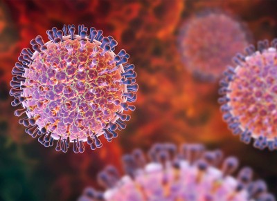 A Complete Guide to Rotavirus Vs. Norovirus Vs. Stomach Flu
