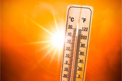 How To Stay Hydrated in the Summer Heat: 6 Tips That Don’t Involve Water